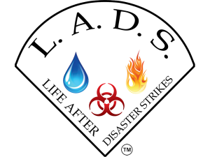 Life after disaster strikes logo